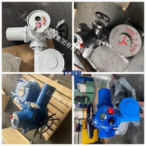 渦輪傳動(dòng)裝置QDX3-7 電動(dòng)蝶閥 扭矩6000Nm 