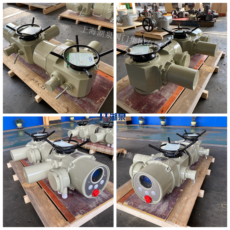 電動執(zhí)行器