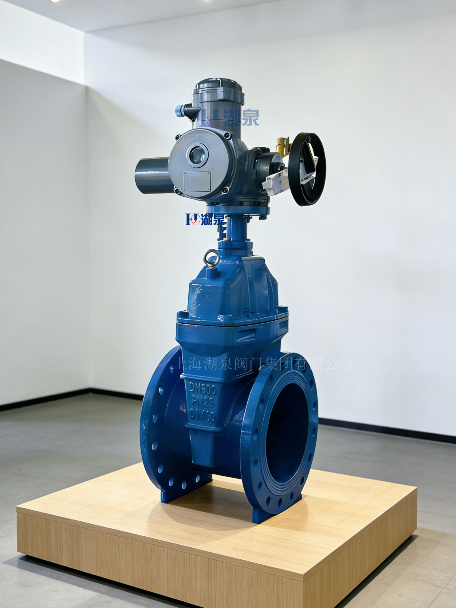 DN600大口徑電動(dòng)閘閥